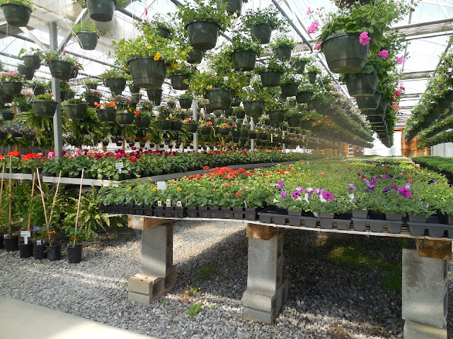 garden store